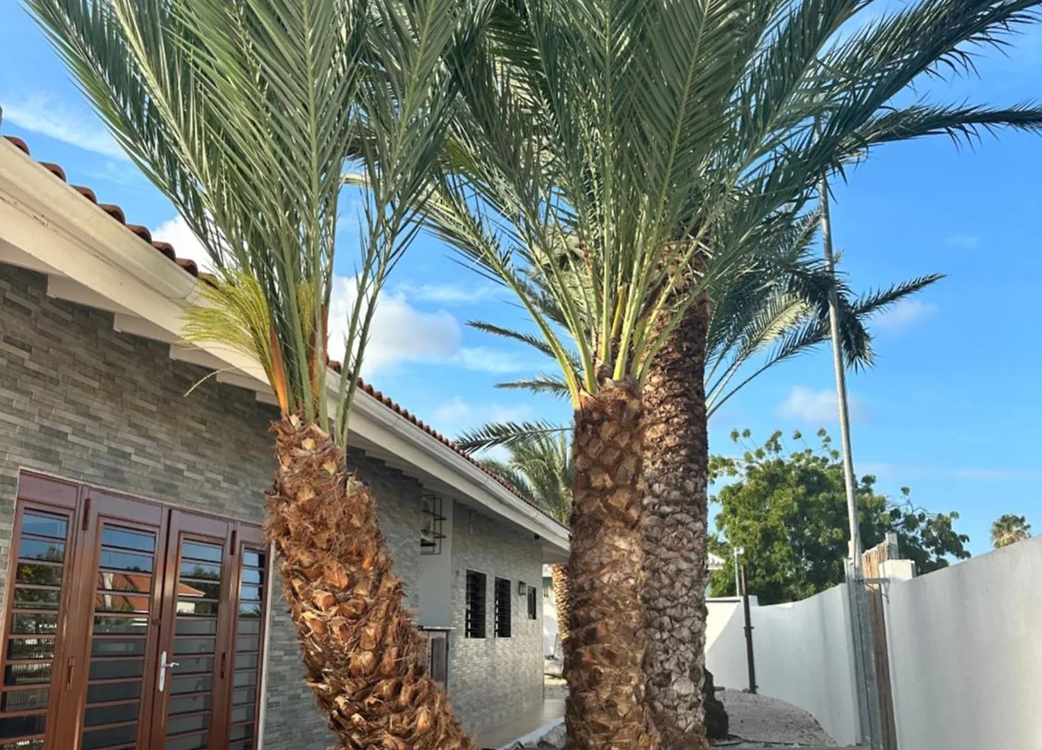 Villa Curasea Jan Thiel Curacao